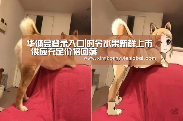 华体会登录入口|时令水果新鲜上市 供应充足价格回落(图2) 华体会体育在线登录