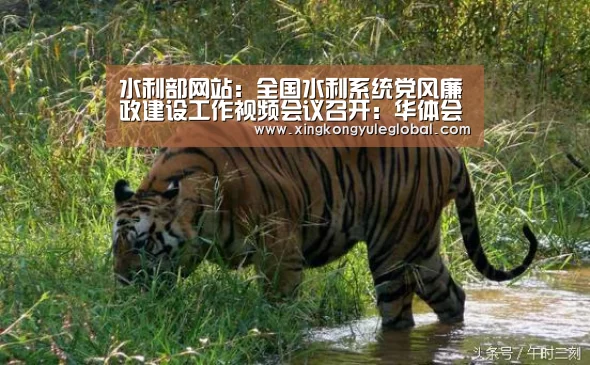 水利部网站:全国水利系统党风廉政建设工作视频会议召开:华体会体育在线登录(图1) 华体会登录入口