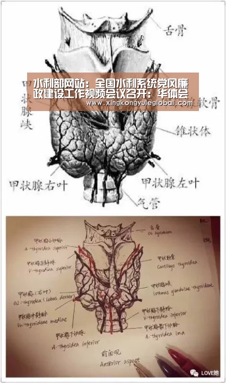 水利部网站:全国水利系统党风廉政建设工作视频会议召开:华体会体育在线登录(图4) 水利部网站:全国水利系统党风廉政建设工作视频会议召开:华体会体育在线登录(图4)