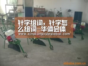针字组词,针字怎么组词-华体会体育在线登录(图3) 华体会官方网站