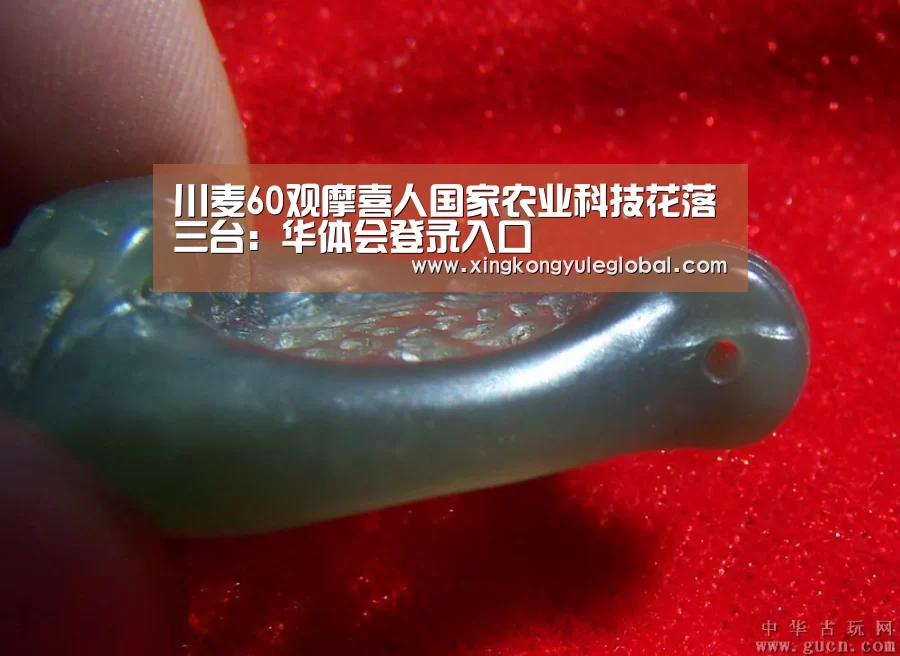 川麦60观摩喜人国家农业科技花落三台:华体会登录入口(图2) 华体会官方网站
