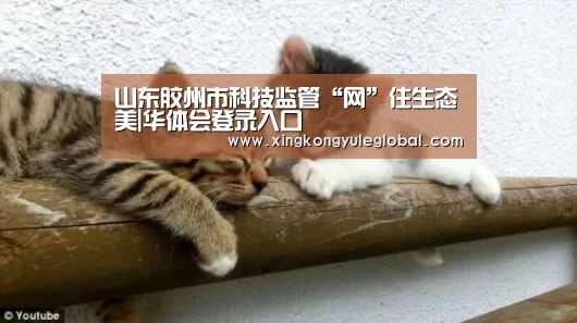 华体会官方网站