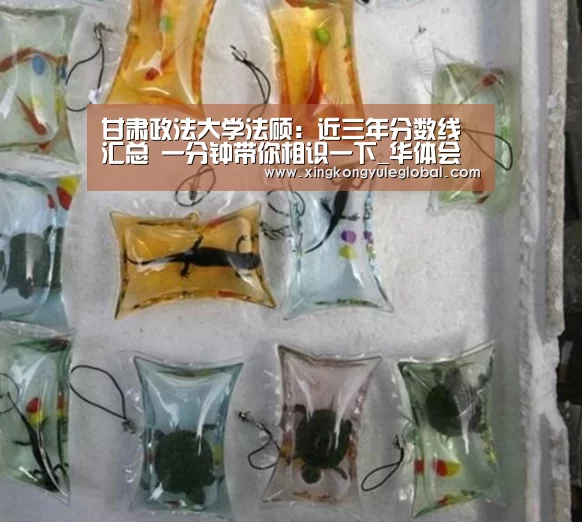 甘肃政法大学法硕:近三年分数线汇总 一分钟带你相识一下_华体会体育在线登录(图1) 华体会体育在线登录