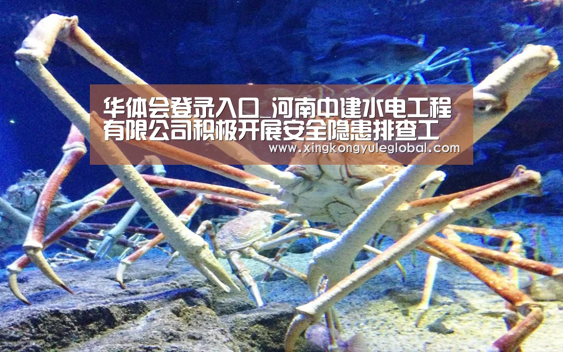 华体会登录入口_河南中建水电工程有限公司积极开展安全隐患排查工作(图3) 华体会登录入口_河南中建水电工程有限公司积极开展安全隐患排查工作(图3)